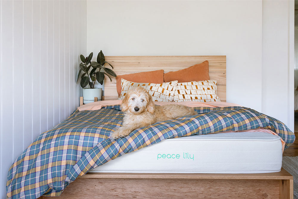 Taking Care of Your Latex Mattress: The Ultimate Product Care Guide