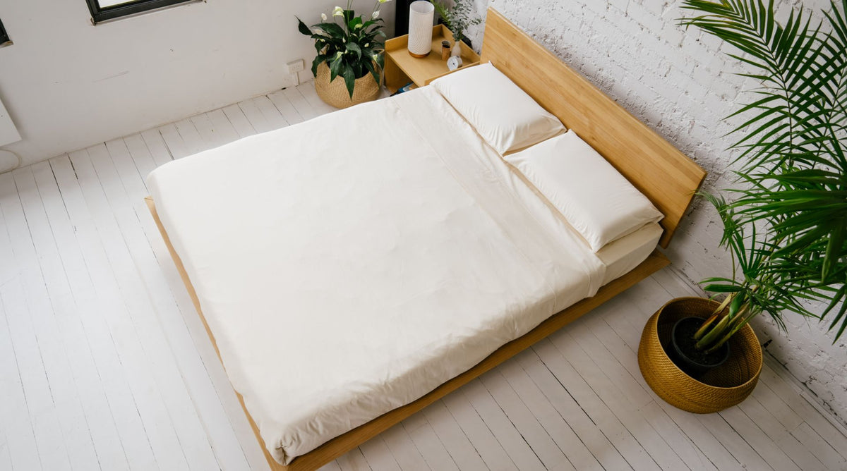 Overhead view of the Peace Lily Timber Bed Frame made up with cream bedding beside a potted palm