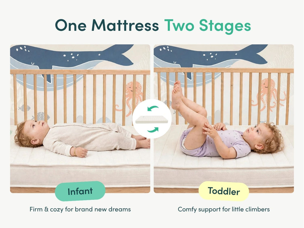 Peace Lily Cot Mattress