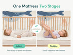 Peace Lily Cot Mattress