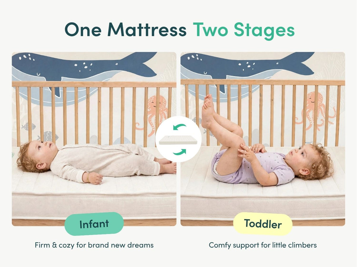Peace Lily Cot Mattress