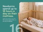 Peace Lily Cot Mattress