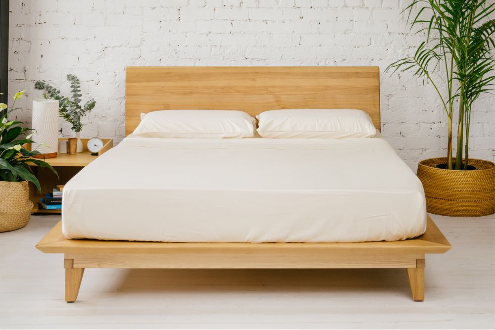 Peace Lily solid timber bed frame with headboard, made up with white bedding beside a bedside table and potted palm